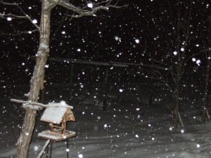 なにやら今宵は雪が積もりそうな予感・・・