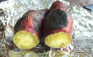 ほくほく　♪　じっくり焼けばもっと美味しそうな黄金色になったかも？