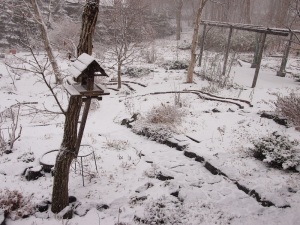 美駒愚遊庵の庭