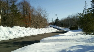 また道路の雪がなくなった・・・。