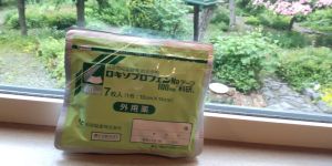 湿布薬とロキシニンがおみやげ・・。