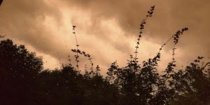 思わずコンセントを抜いて、雷に備えた・・。
