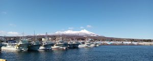 晴れているが風は冷たい・・。