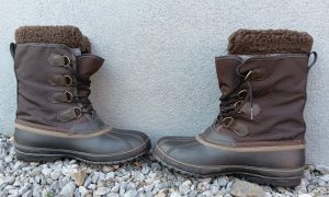 さて、売れるでしょうか? さて、売れるでしょうか?