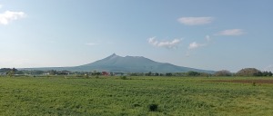のどかな風景・・