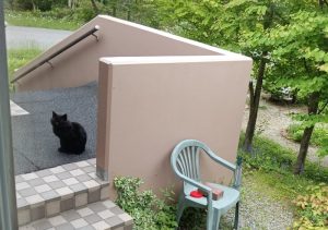 椅子に上に置いてあるのは餌用の容器だ。