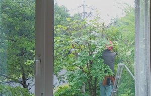 あっという間にサッパリと…。プロの技ですな・・。