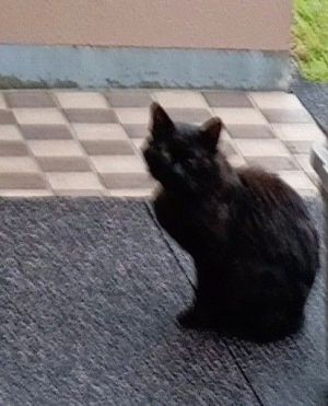 やあ、久しぶりだなぁ・・。